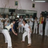 img_0731.jpg img_0731.jpg