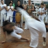 img_4091.jpg img_4091.jpg