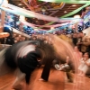 capoeira_latina_2010_25 capoeira_latina_2010_25